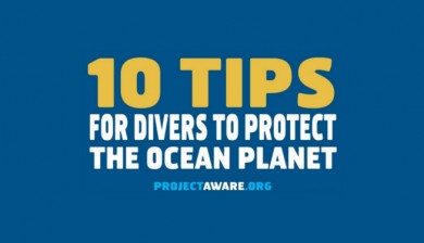 10 Συμβουλές προς τους δύτες για την προστασία του υποβρύχιου κόσμου slide